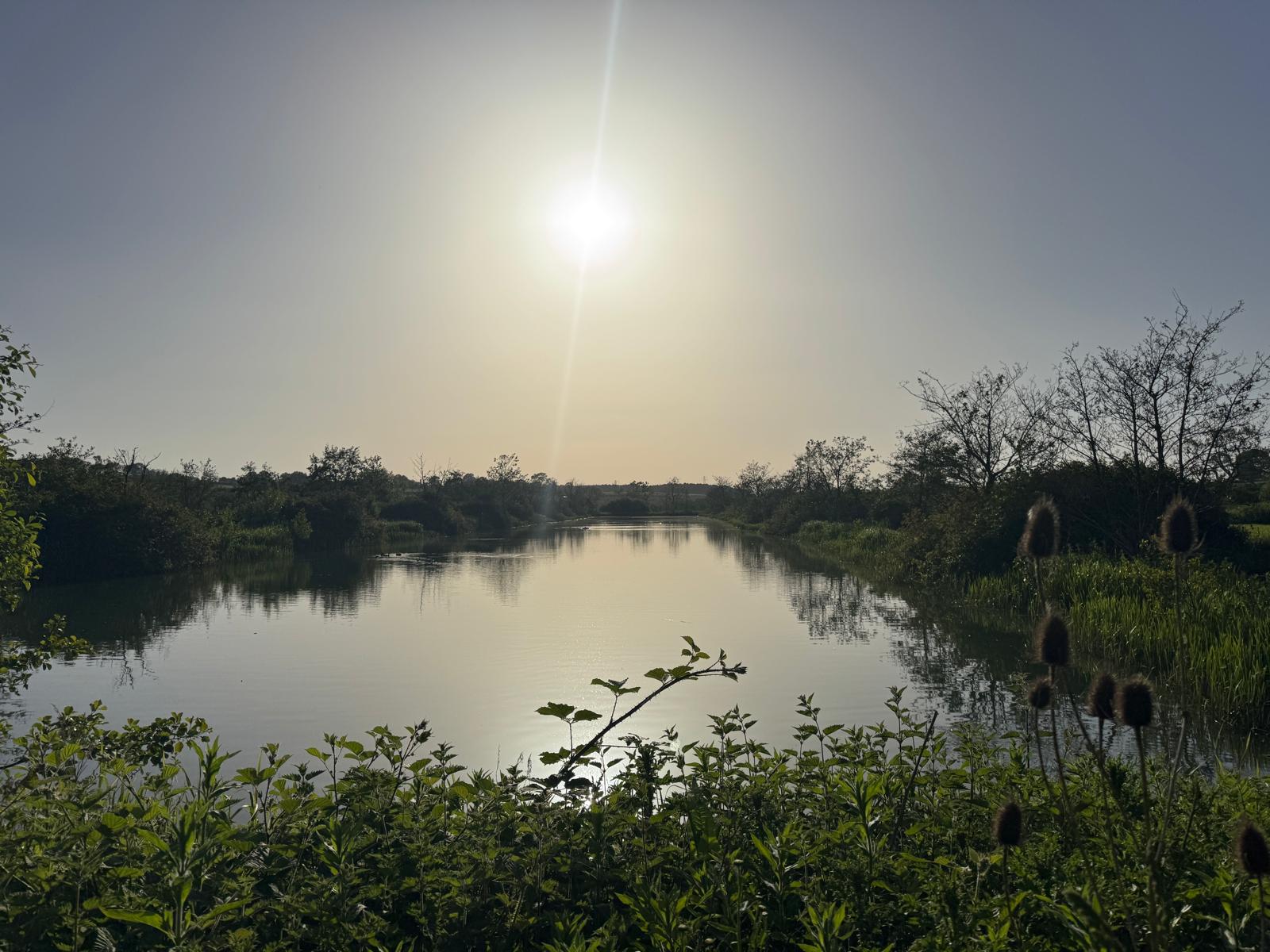 Evening light over a still lake in the local countryside